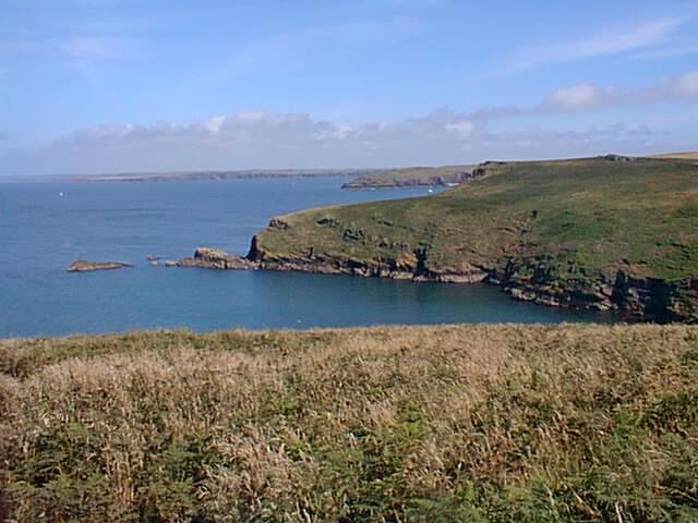Skomer 4